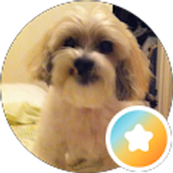 Profile photo of Jackie S