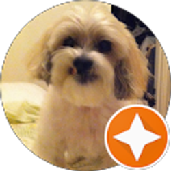 Profile photo of Jackie S