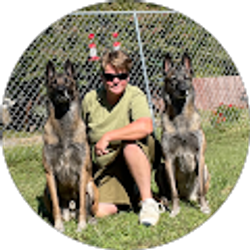 Profile photo of B P