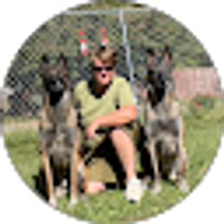 Profile photo of B P