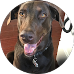 Profile photo of Katharine Trask