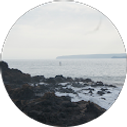 Profile photo of Karyn Brandel