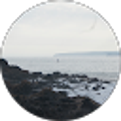 Profile photo of Karyn Brandel