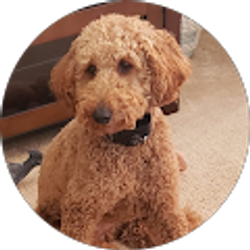 Profile photo of Colene Bish