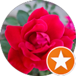 Profile photo of Brenda Henry