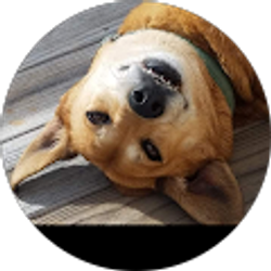 Profile photo of Wendy Steelmon