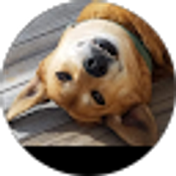 Profile photo of Wendy Steelmon