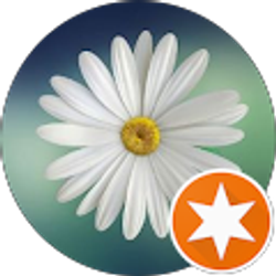 Profile photo of Jo Gilbert