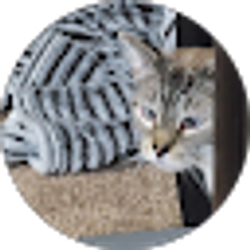 Profile photo of Nick