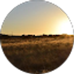 Profile photo of James Reyna