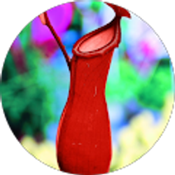 Profile photo of Ben Tran