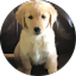 Profile photo of Jeff Shinn