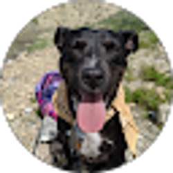 Profile photo of Samantha Satterfield