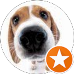 Profile photo of Wilver Constanza
