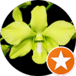 Profile photo of Rena Noele