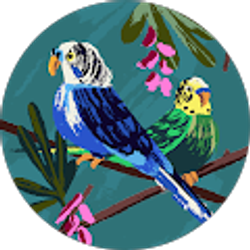 Profile photo of summer