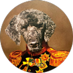 Profile photo of peter cary