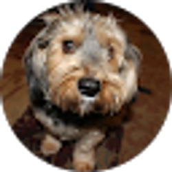 Profile photo of Pam