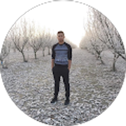 Profile photo of Dods StaAna