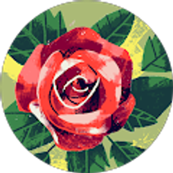 Profile photo of Bobbie Davidson