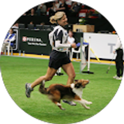 Profile photo of karen holik