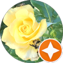 Profile photo of Lorraine Olmstead