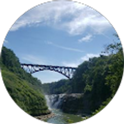 Profile photo of Riyadh AL jumaili