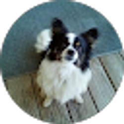 Profile photo of Barron Littlefield