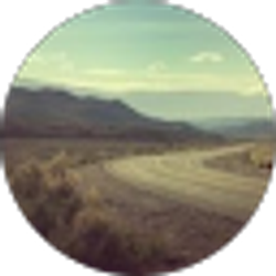 Profile photo of Brian Boyle