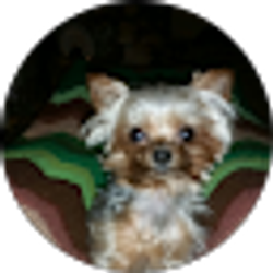 Profile photo of Stan Bunting