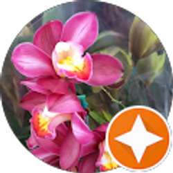 Profile photo of Nancy Whiteside