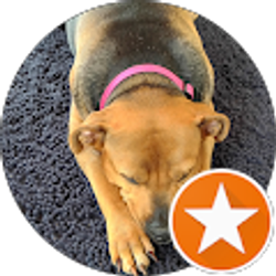 Profile photo of K Miller