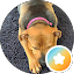 Profile photo of K Miller