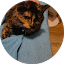 Profile photo of Sarah Taylor
