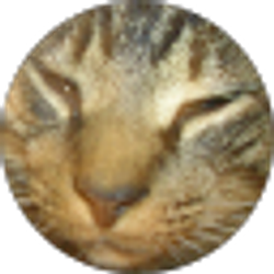 Profile photo of brandy keener