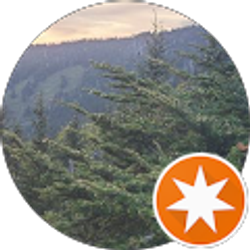 Profile photo of P. L.