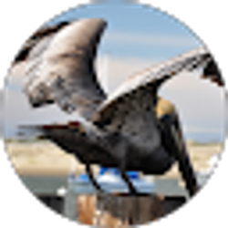 Profile photo of Robert Drake