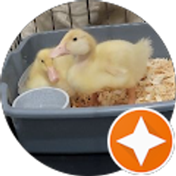 Profile photo of Kristin Wiechelman