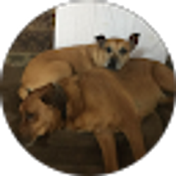 Profile photo of LadyBird Freedom