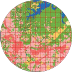 Profile photo of Brennan Johnson