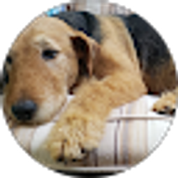 Profile photo of Anna Heffez