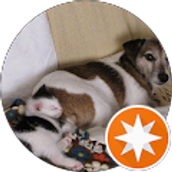 Profile photo of Charles Bevard