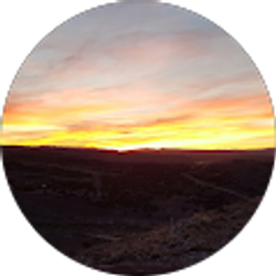 Profile photo of Tyler Havard