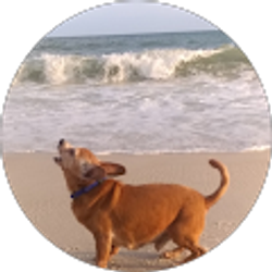 Profile photo of dana carter