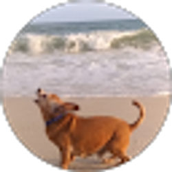 Profile photo of dana carter
