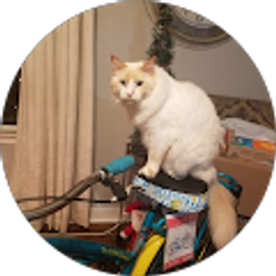 Profile photo of Kimberly Berry