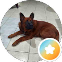 Profile photo of Kimbo Edwards