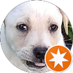 Profile photo of WowThatsAwesome