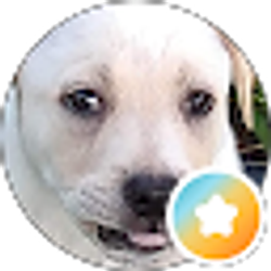 Profile photo of WowThatsAwesome