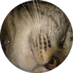 Profile photo of Brian Hense